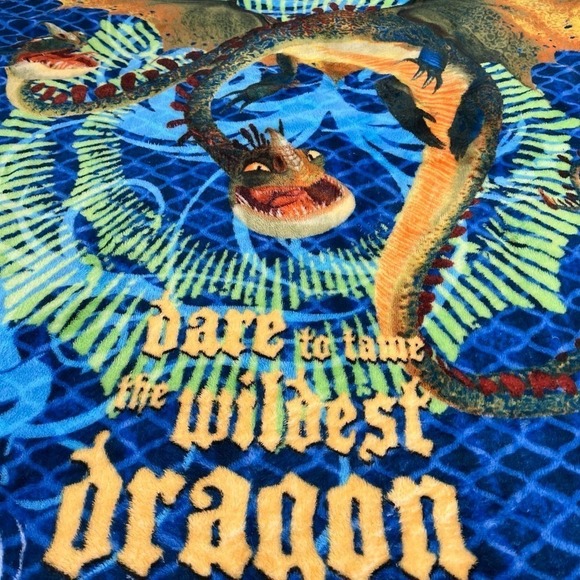 Dreamworks How To Train Your Dragon Dare to Tame the Wildest Dragon ThrowBlanket - Picture 2 of 4